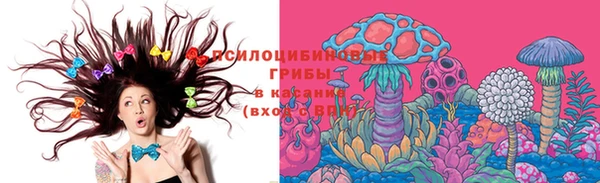 метадон Арсеньев