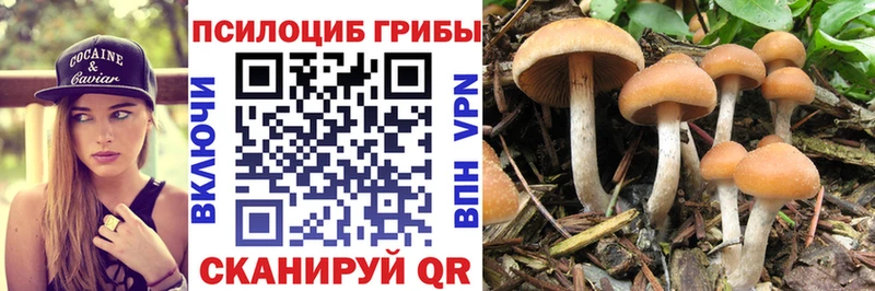 blacksprut сайт  Кремёнки  Галлюциногенные грибы Psilocybine cubensis  где купить  